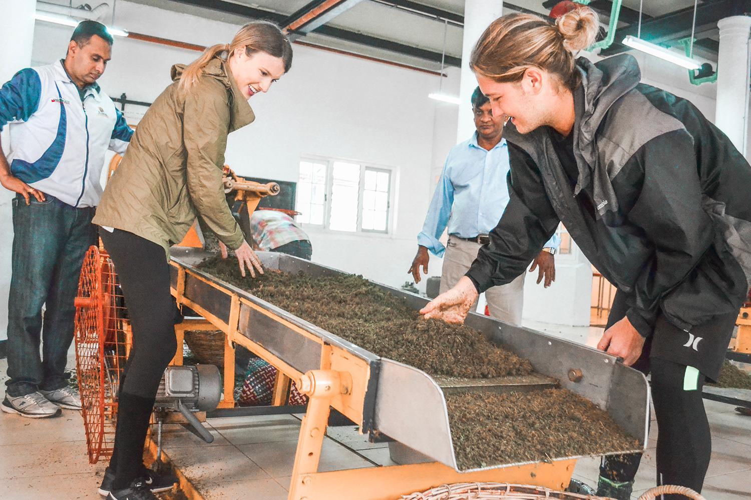 Tea And Experience Factory - Thema Collection Hotell Mandaran Newara Eksteriør bilde