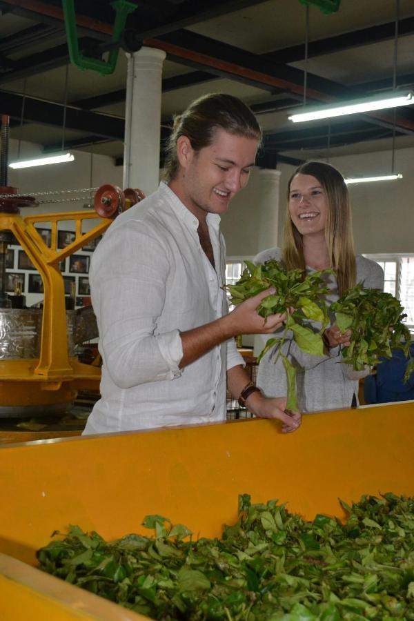 Tea And Experience Factory - Thema Collection Hotell Mandaran Newara Eksteriør bilde